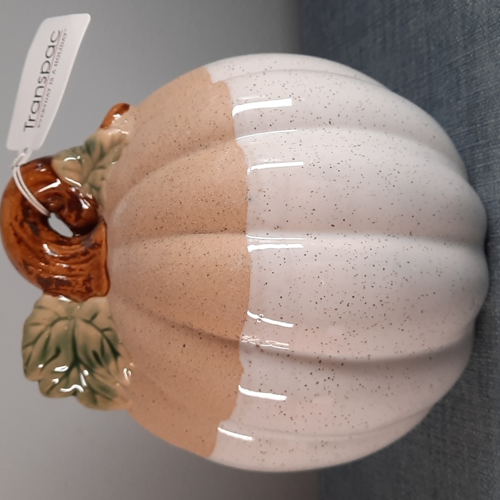 Ceramic Pumpkin Figure Tabletop Decor Fall Harvest Half Glazed White Na…